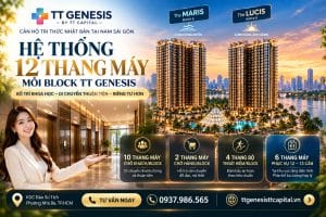 Hệ Thống 12 Thang Máy Mỗi Block TT Genesis Được Bố Trí Ra Sao?
